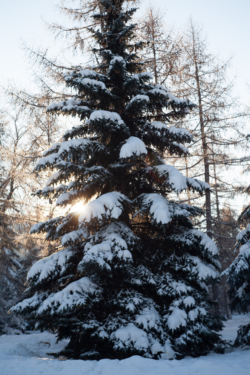 Canon EOS 5D + Helios-44M-4