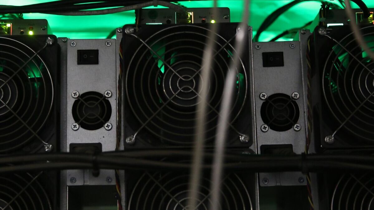    Стойка с асиками на одной из майнинговых ферм в Иркутской области© РИА Новости / Евгений Козырев