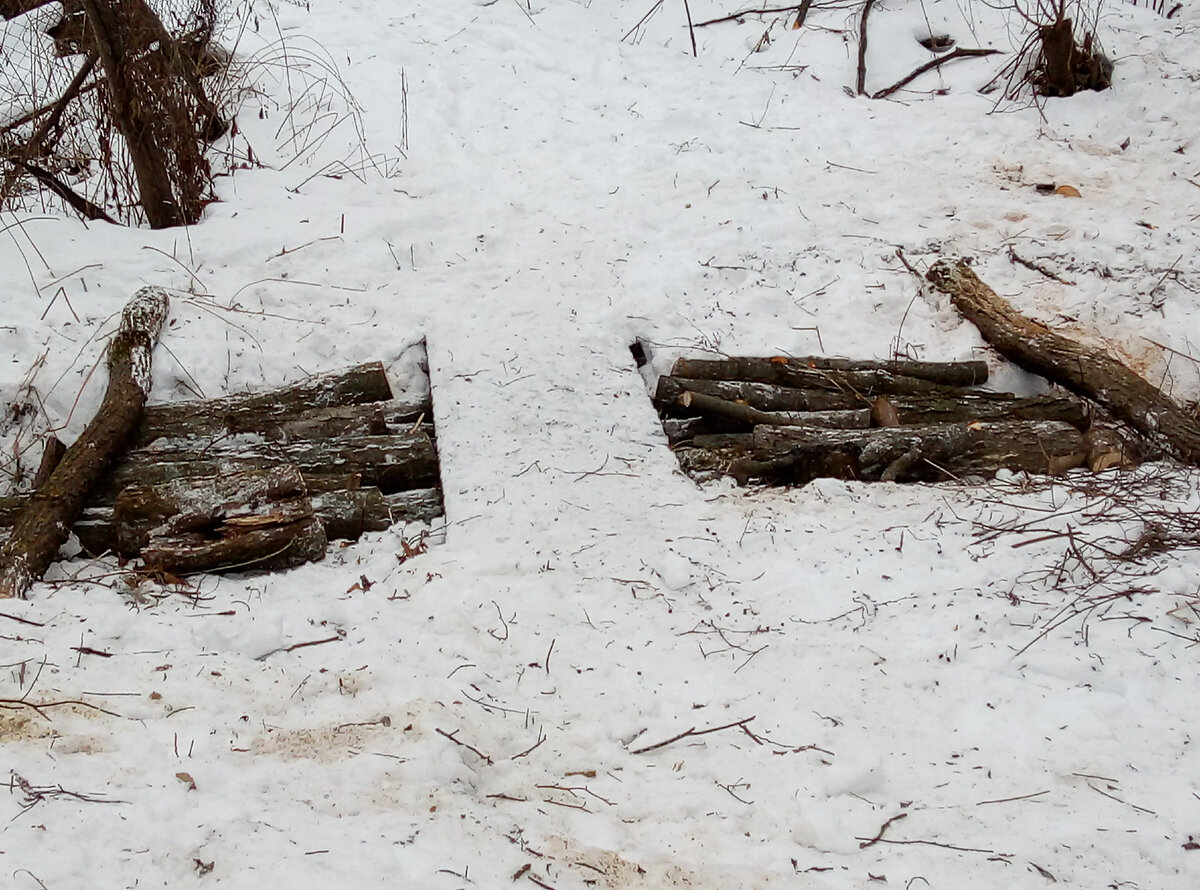 Фото сделано автором.