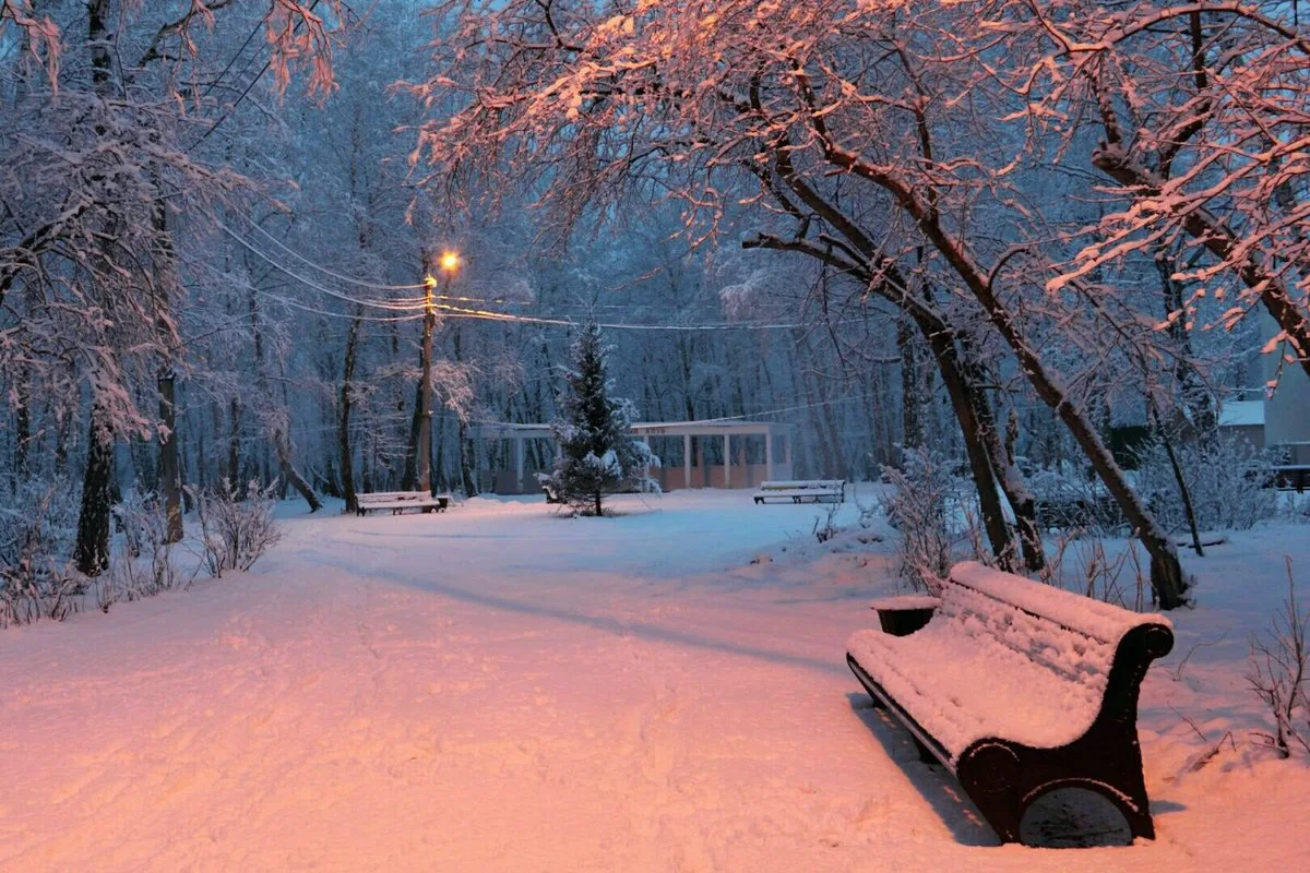 Фото зимнего парка. Зимний парк. Парк зимой. Зима в парке. Зимний сквер.