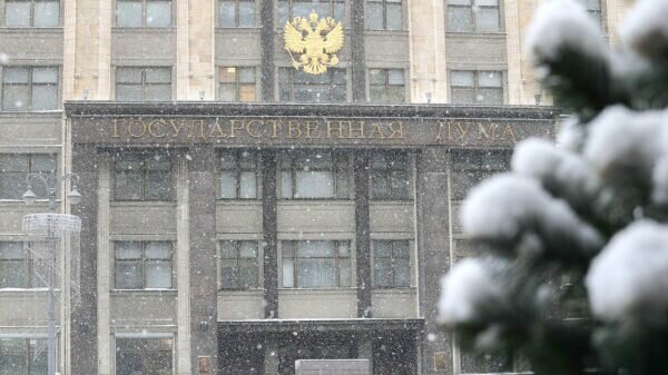    Фото: duma.gov.ru