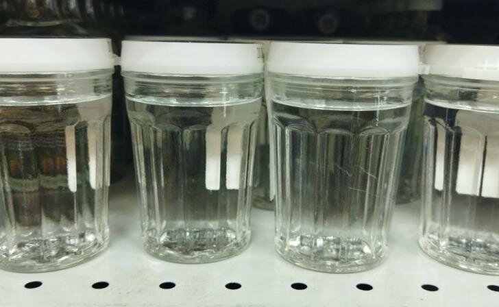    фото Курские известия