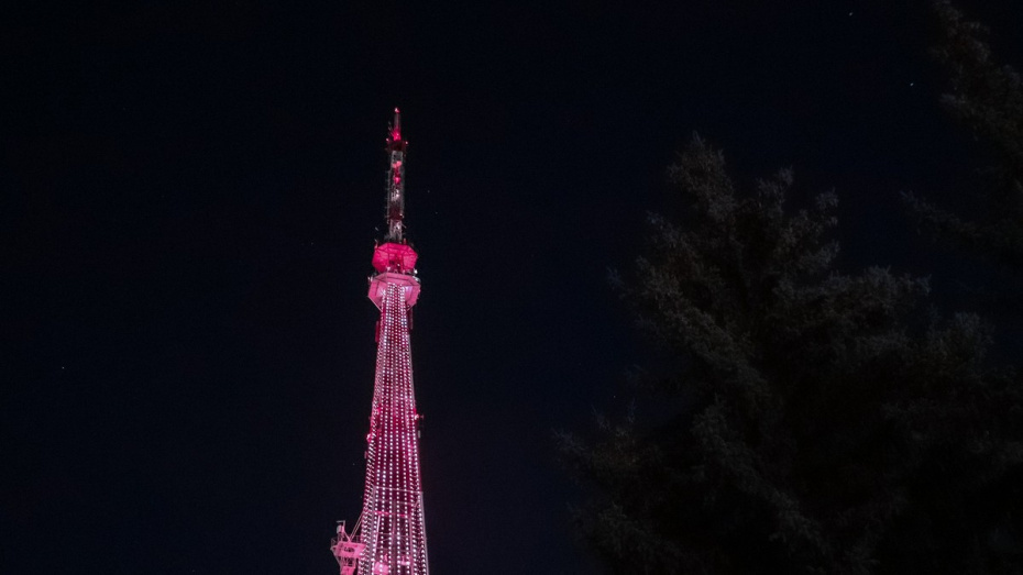    Автор фото: Виктория Курляндская (из архива)