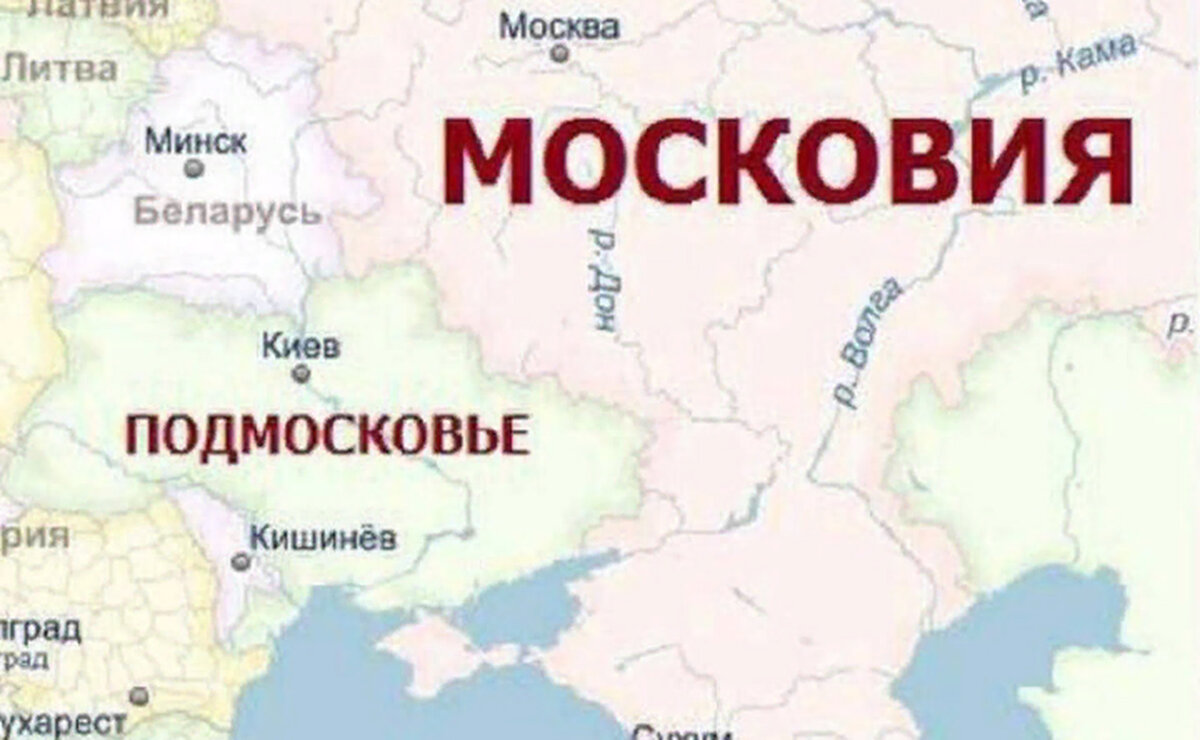 Яндекс. Картинки.