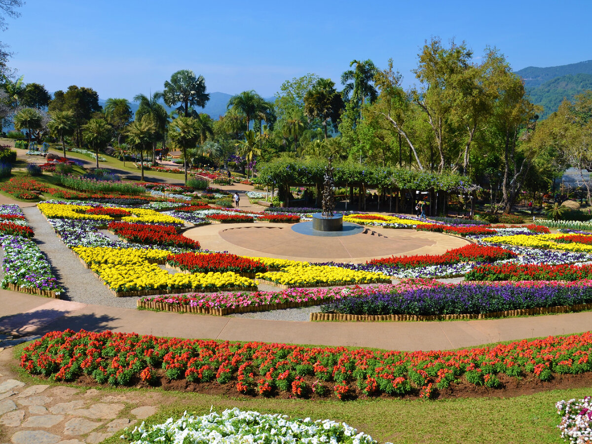 Клумбы с цветами на севере Таиланда. Фото автора.