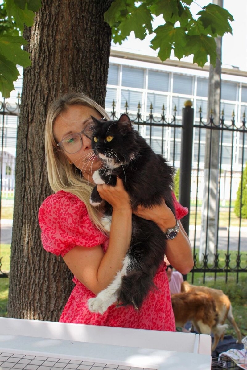 Летом 2022 года Муся была на выставке, искала семью, но вернулась в приют, её никто так и не заметил.