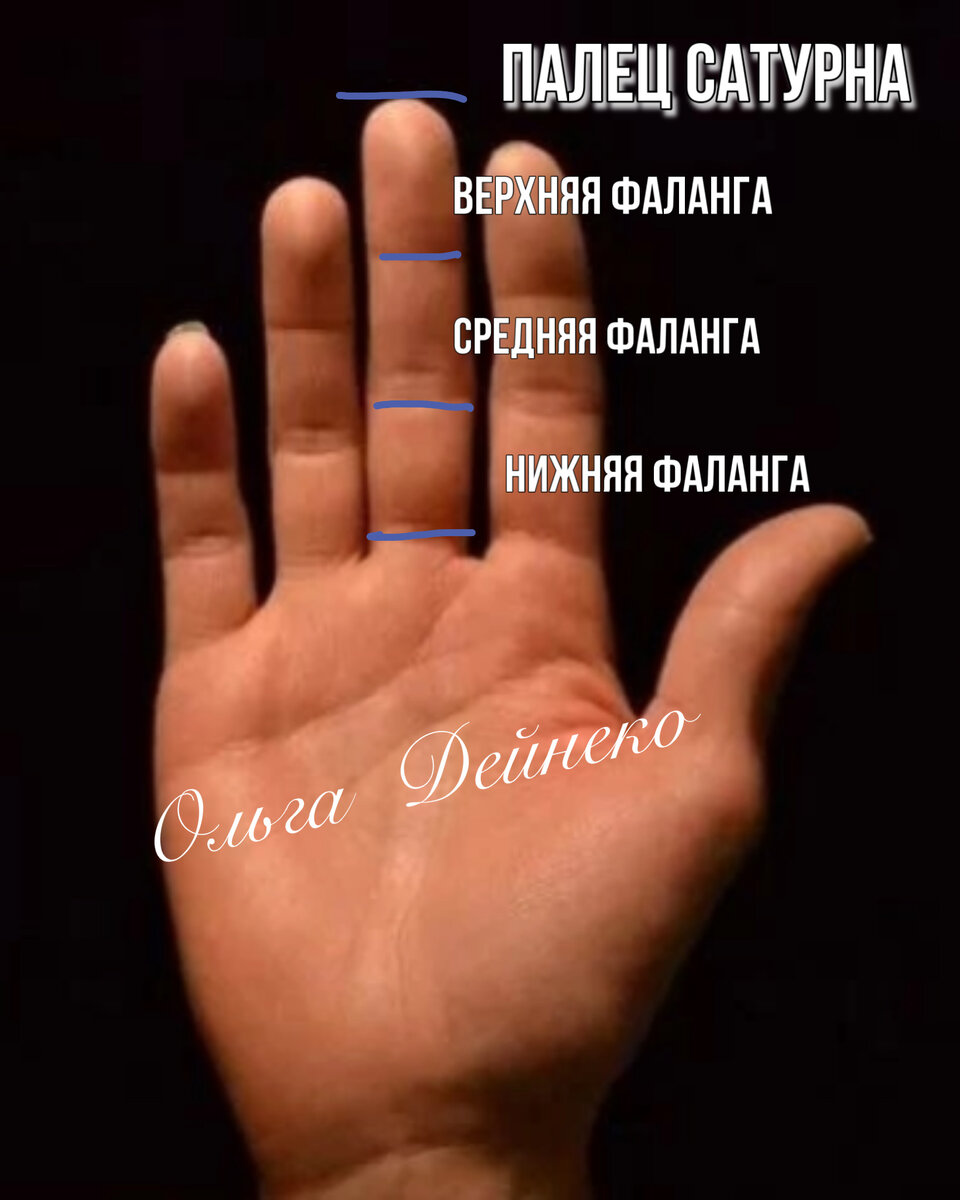 Фаланги пальца Сатурна. Рисунок автора.