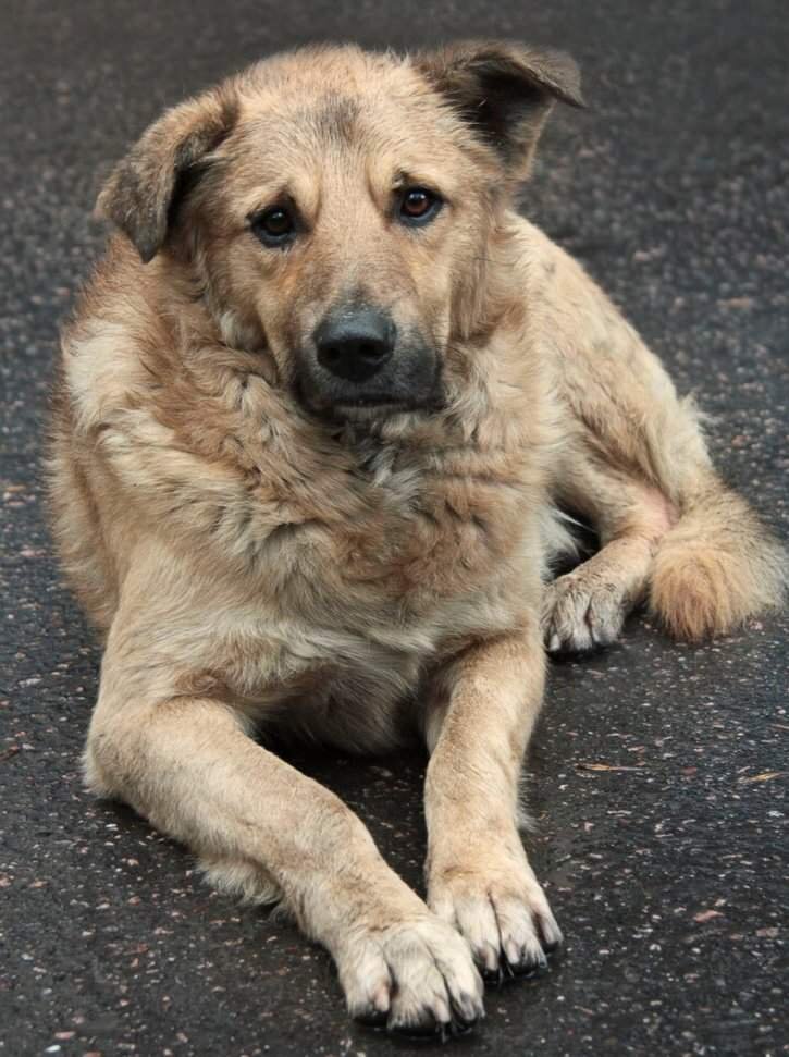 Фото из открытых источников