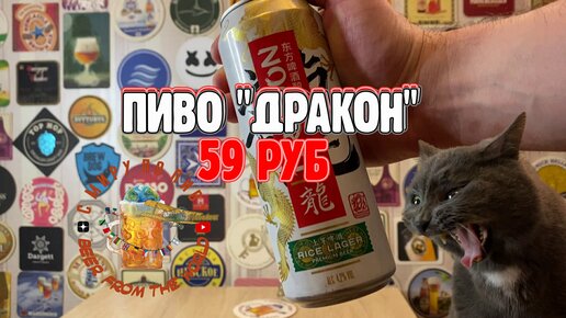 Пиво Дракон за 59 рублей!