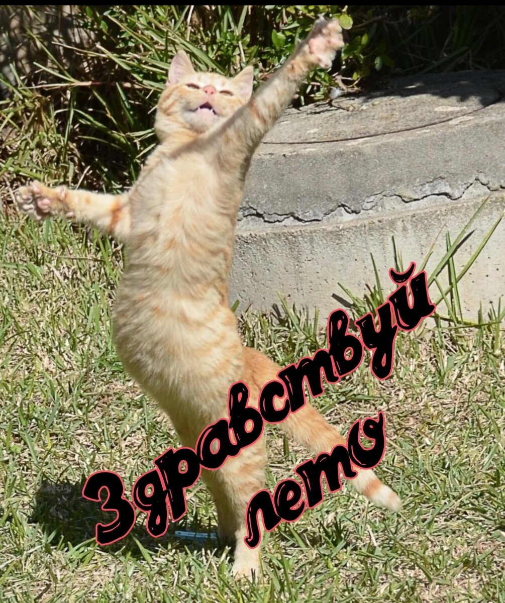 Фотокорекция автора