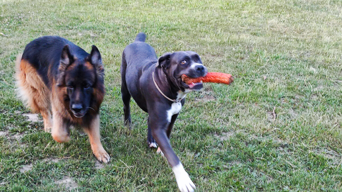 Отобрала )))