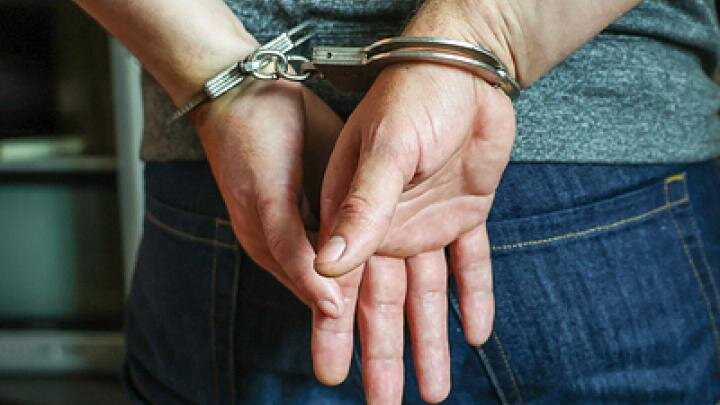 Фото: globallookpress.com/Petrov Sergey