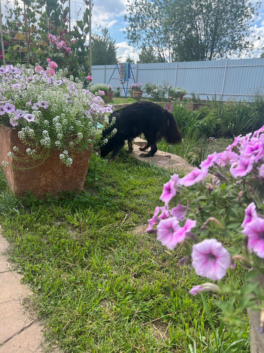 Так, а я Мася, но я занята! Там что-то такое лежит, ну-ка, давайте посмотрим...