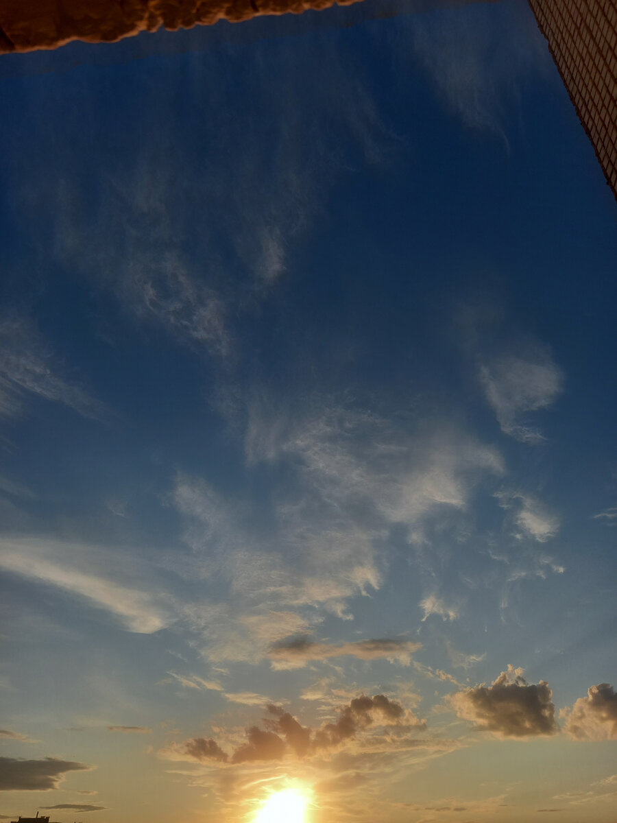 Фото из окна слепящее солнце 