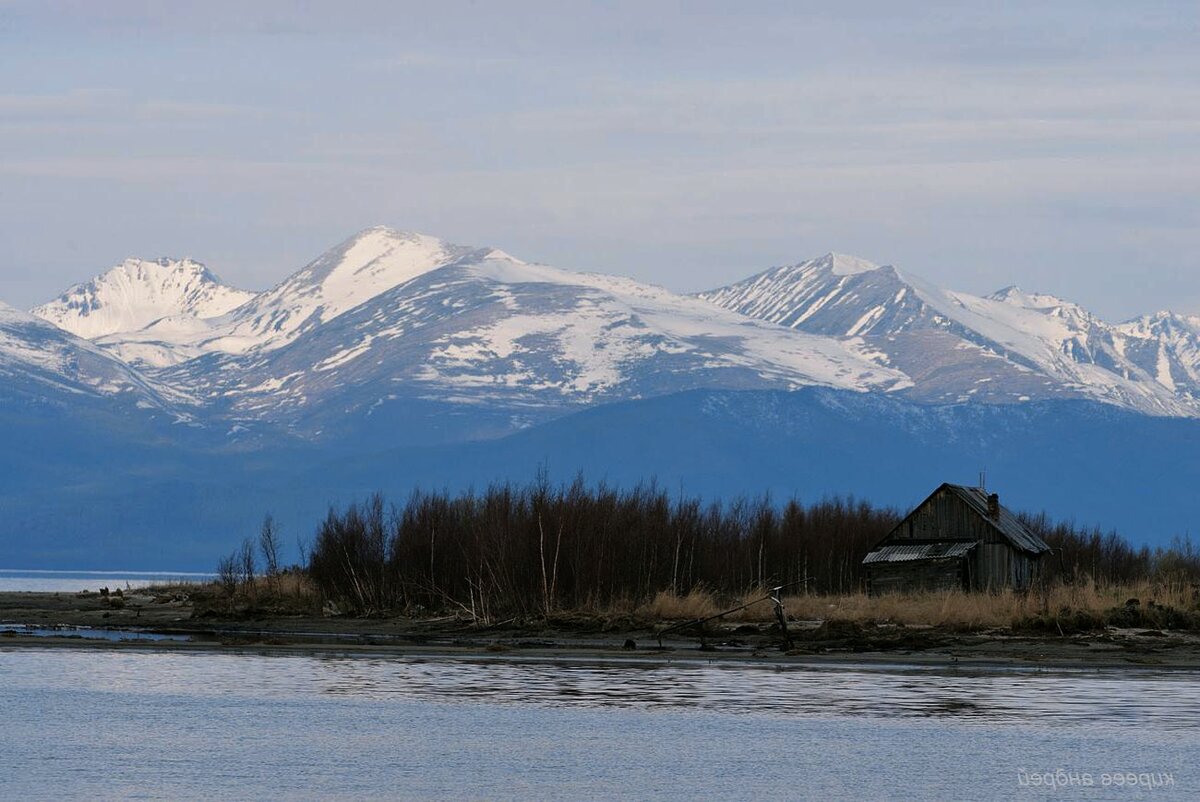 фото из открытых источников