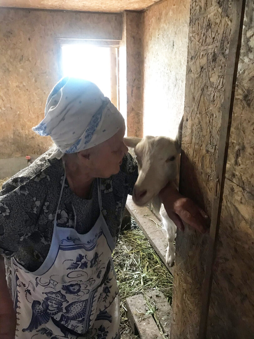 Мягкие ручки Анфисьи Нестеровны по достоинству ценит любимая козочка. Мне, кстати, перед уходом торжественно вручили баночку парного молока на пробу