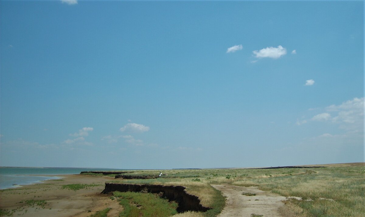 Берега Маныча Восточного. Фото автора.