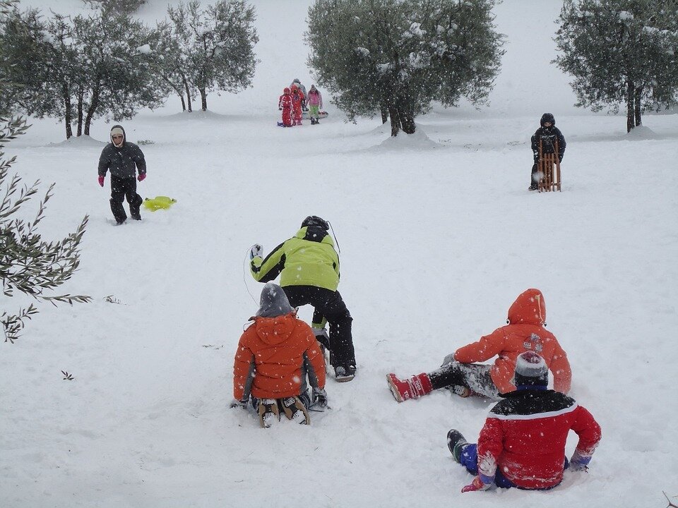 Прогулок никогда не бывает слишком много