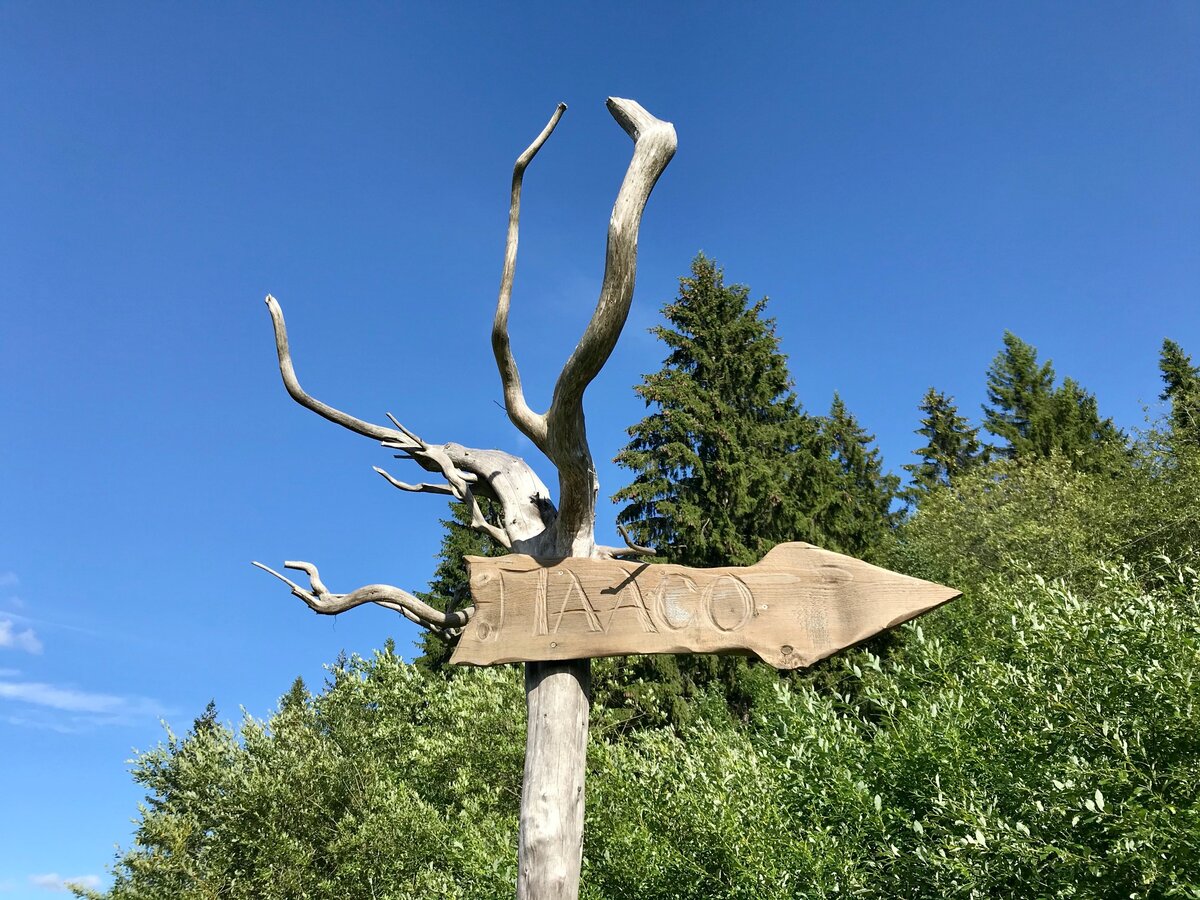 Вход в городище