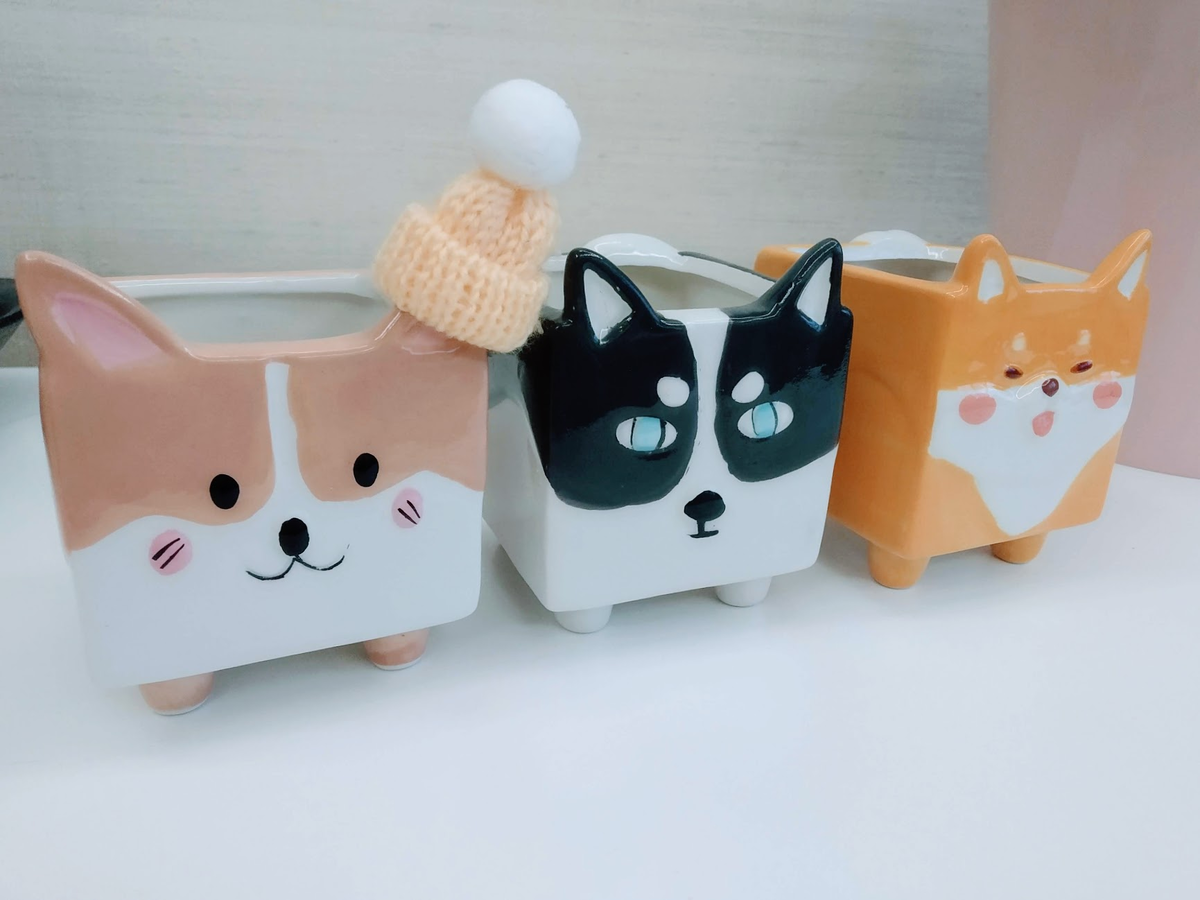 Керамические горшки для суккулентов