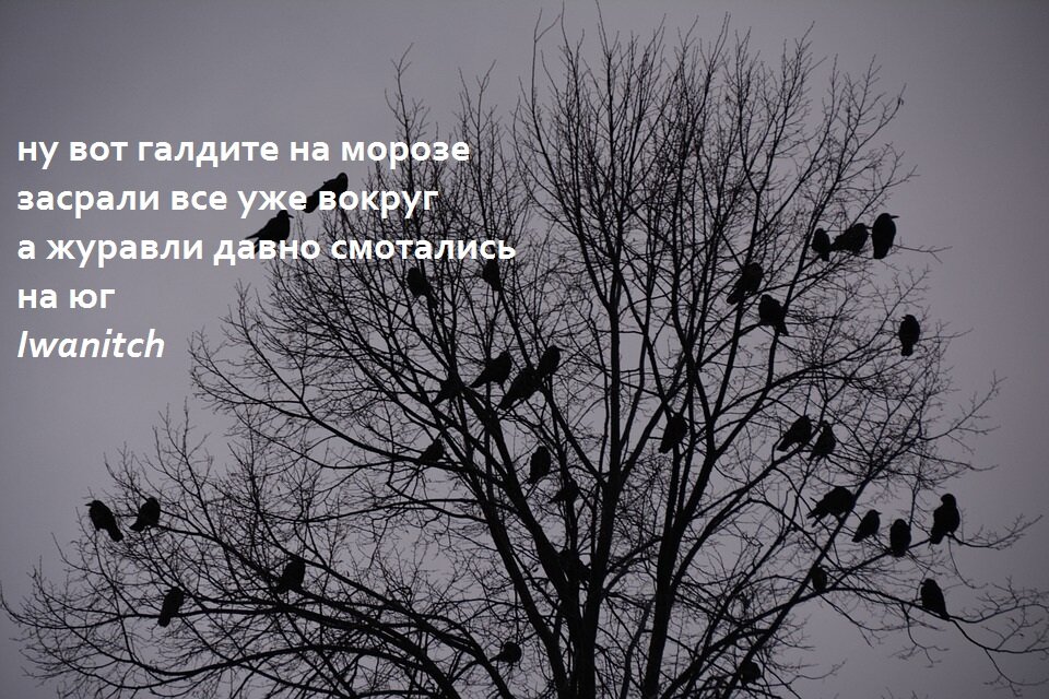 Холод, природный катаклизм.