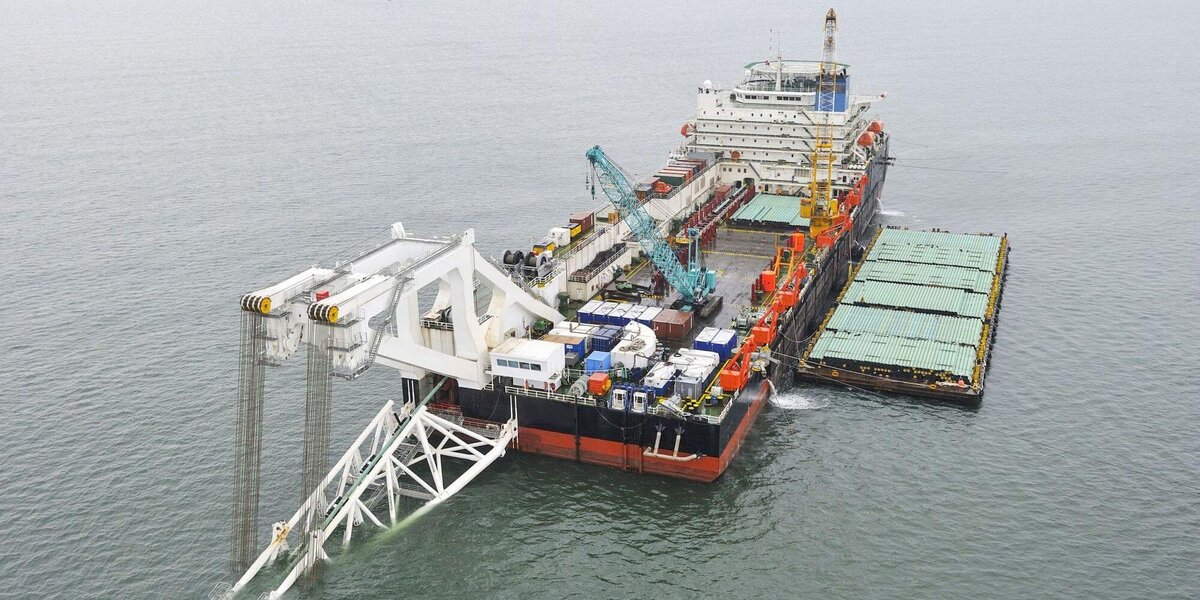 Фото взято из открытых источников