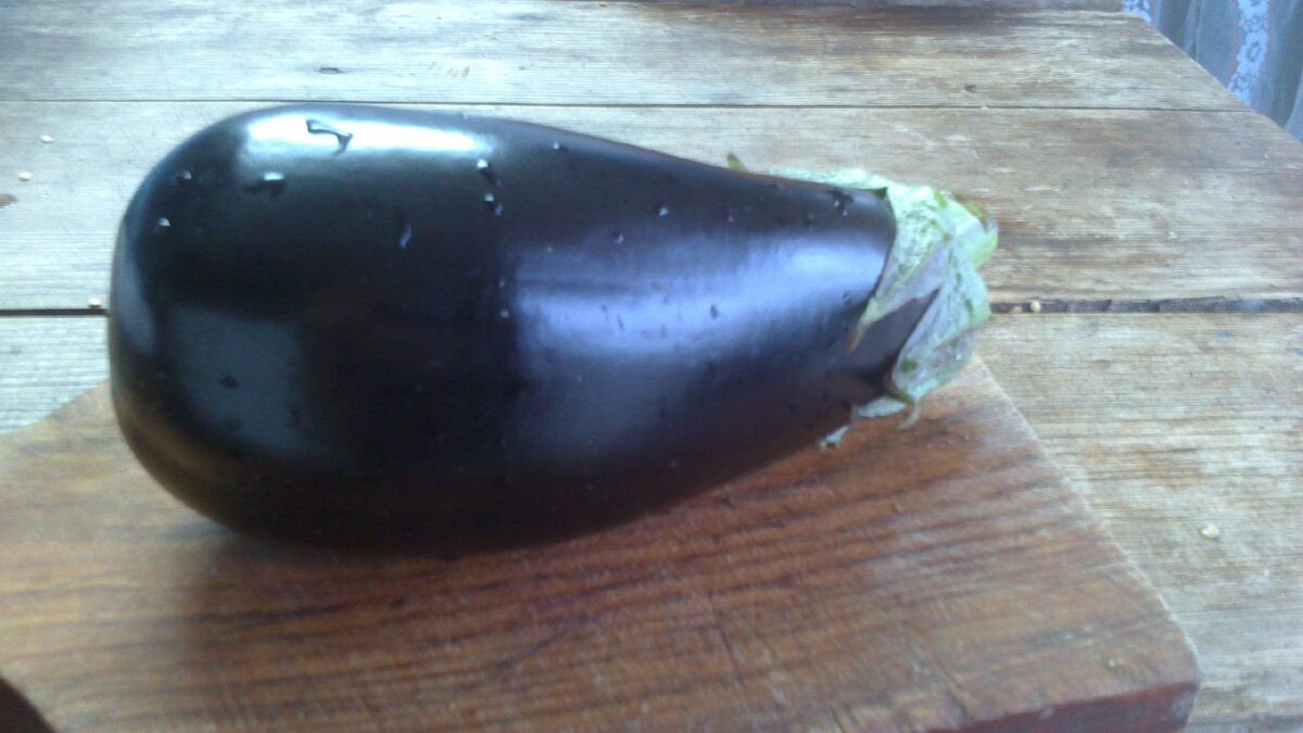 Вот такой вырос Эпик