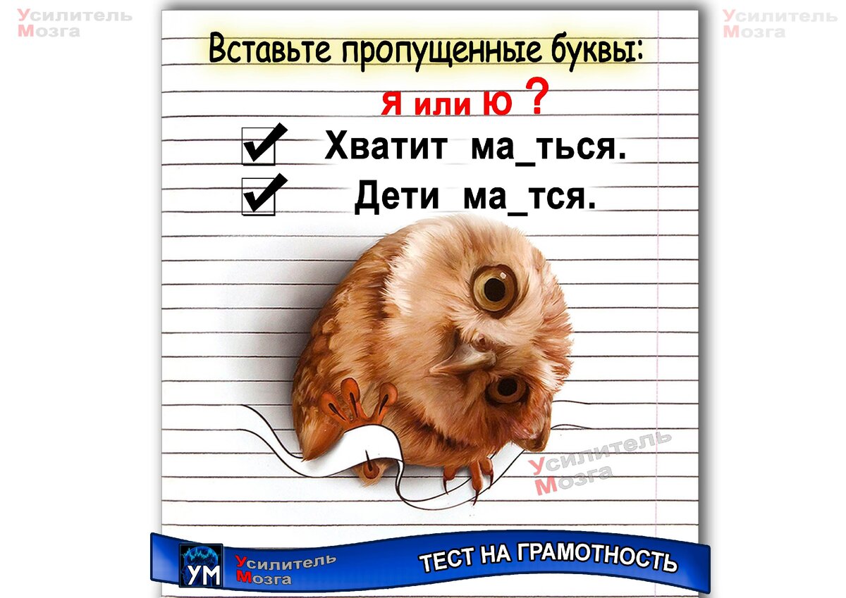 #тесты на грамотность #тесты по русскому языку 