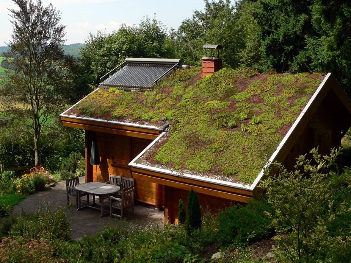 Гондом. Эксплуатируемая плоская кровля Green Roof. Экстенсивная зеленая кровля. Экстенсивная зеленая кровля плоская. Травяная кровля.