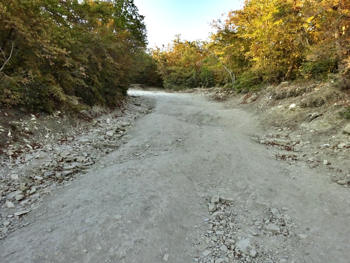 Сосновка, дорога