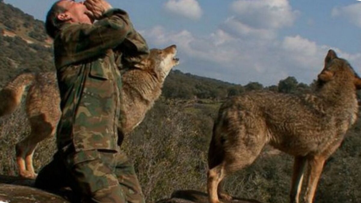 Маркос Родригес Пантоха. Кадр из фильма Entrelobos (Среди волков)