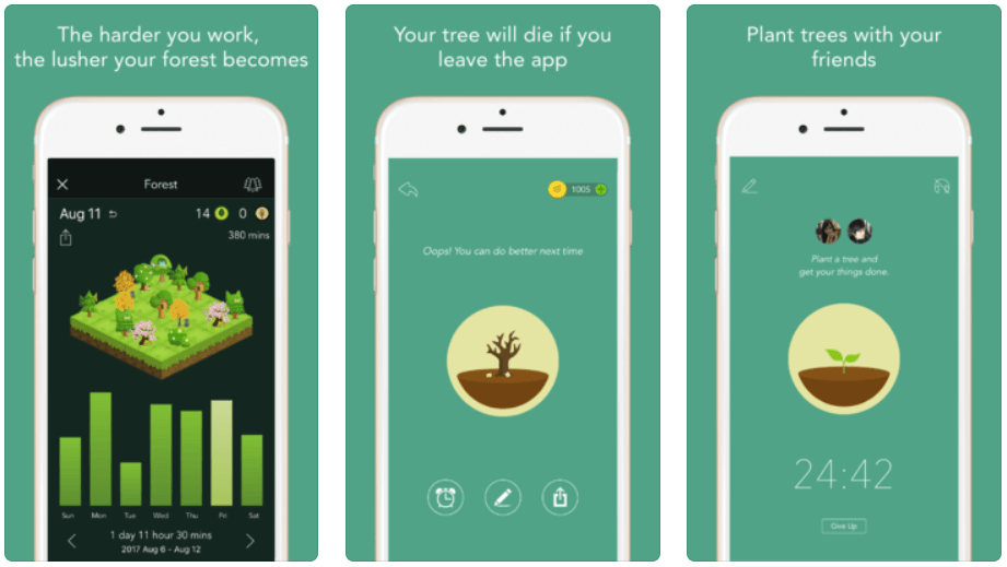 Available to work. Plantie приложение. Forest приложение. Forest иконка приложения. Productive приложение иконка.