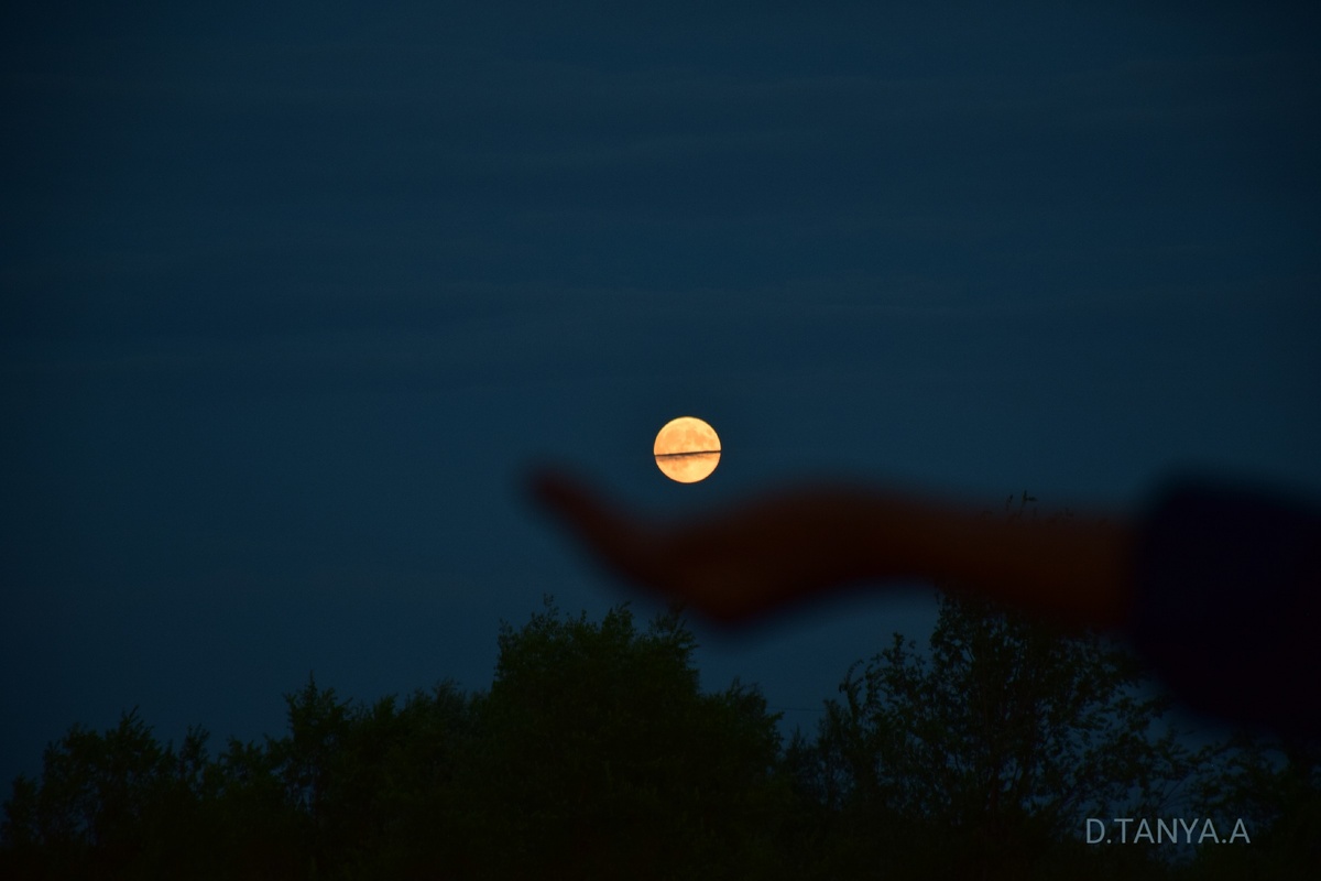 Фотография автора.