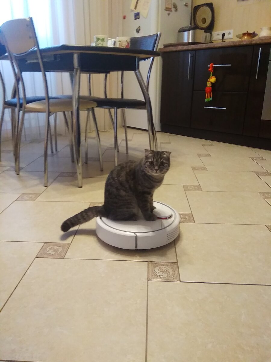 на перерыве