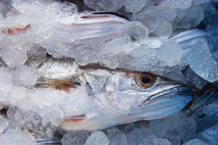 Фото с сайта pixabay.com 