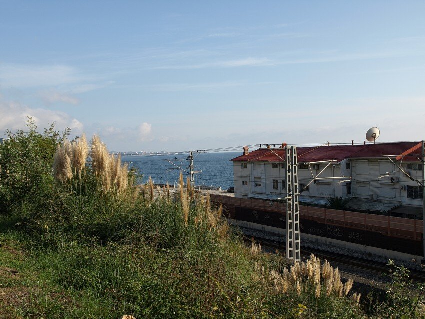 Жалкие остатки Былого великолепия. Фото не мое.