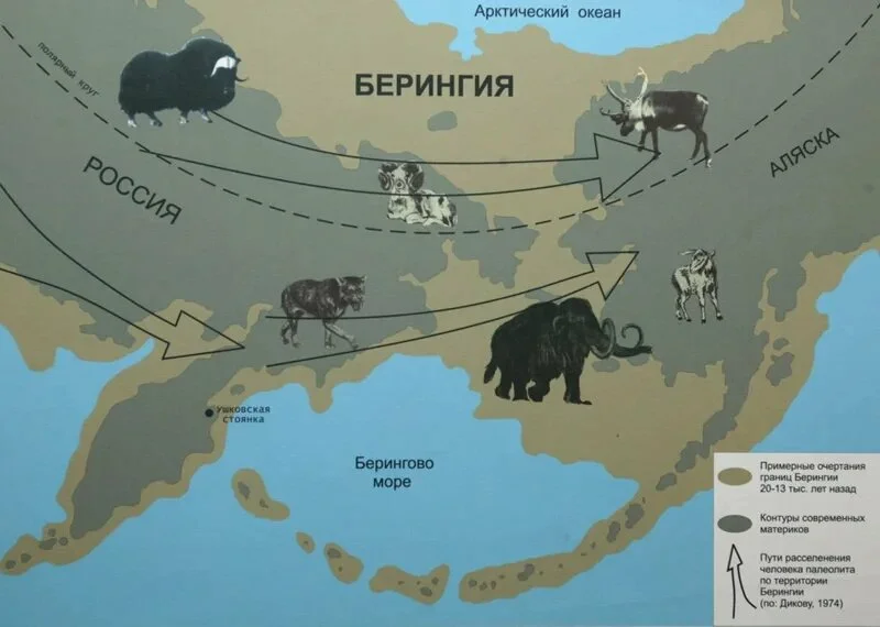 Кто открыл евразию и северную америку. Сухопутный мост Берингия. Сухопутный мост между Евразией и Северной Америкой. Древняя Берингия. Берингия карта.