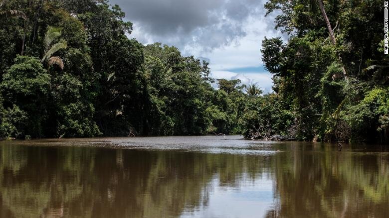 Река Жамари – основной район проживания индейцев Уру-Эу-Уау-Уау // Фото dji-blog.ru