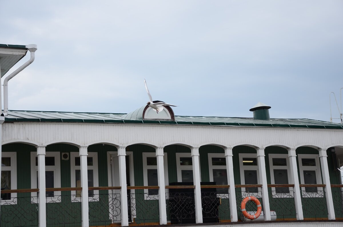 Первые кадры "Жестокого романса" снимались здесь. Фото из личного архива автора