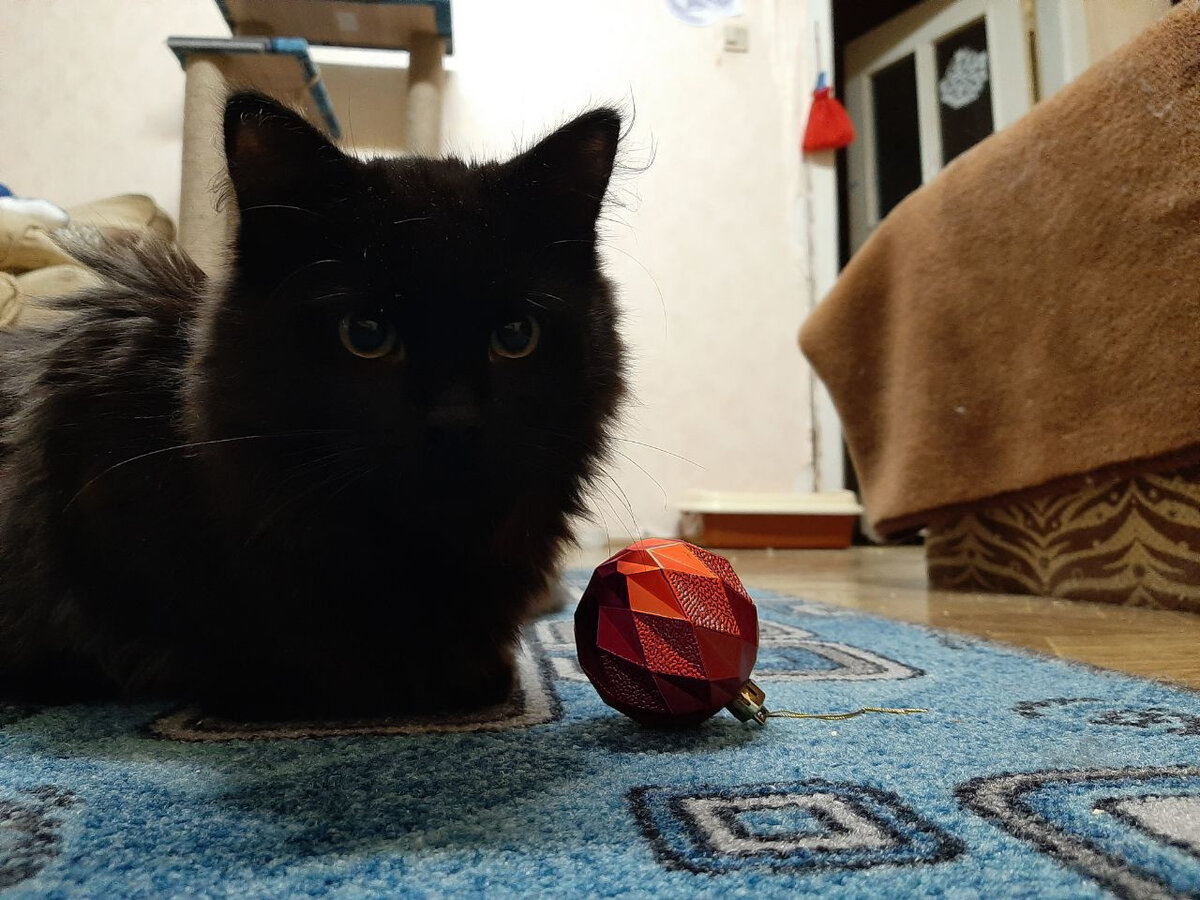 Вечерок с ёлочным шариком