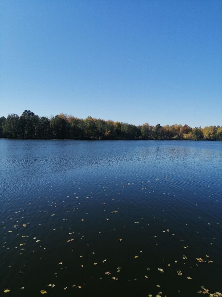 Раифское озеро. Здесь и далее фото автора.