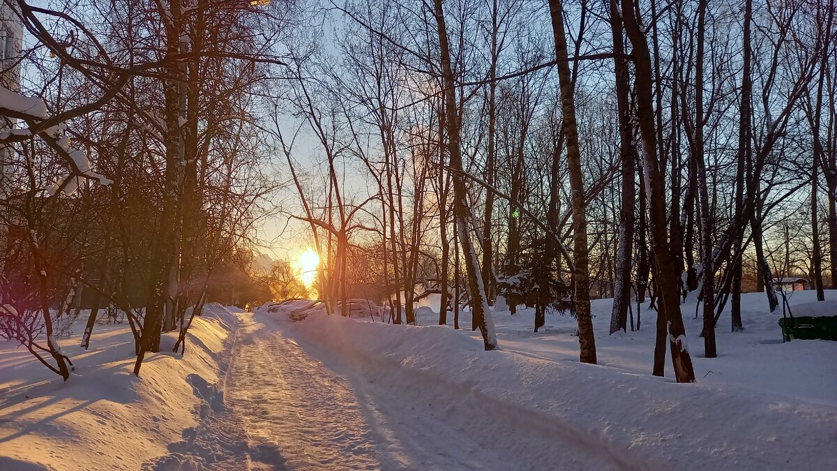 Путь от дома до метро по утрам выглядит так.