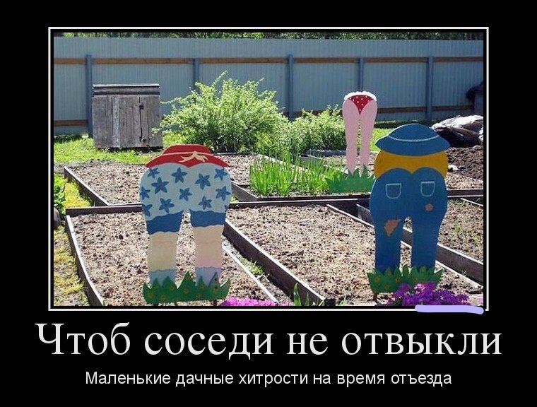 Картинки на дачную тему прикольные