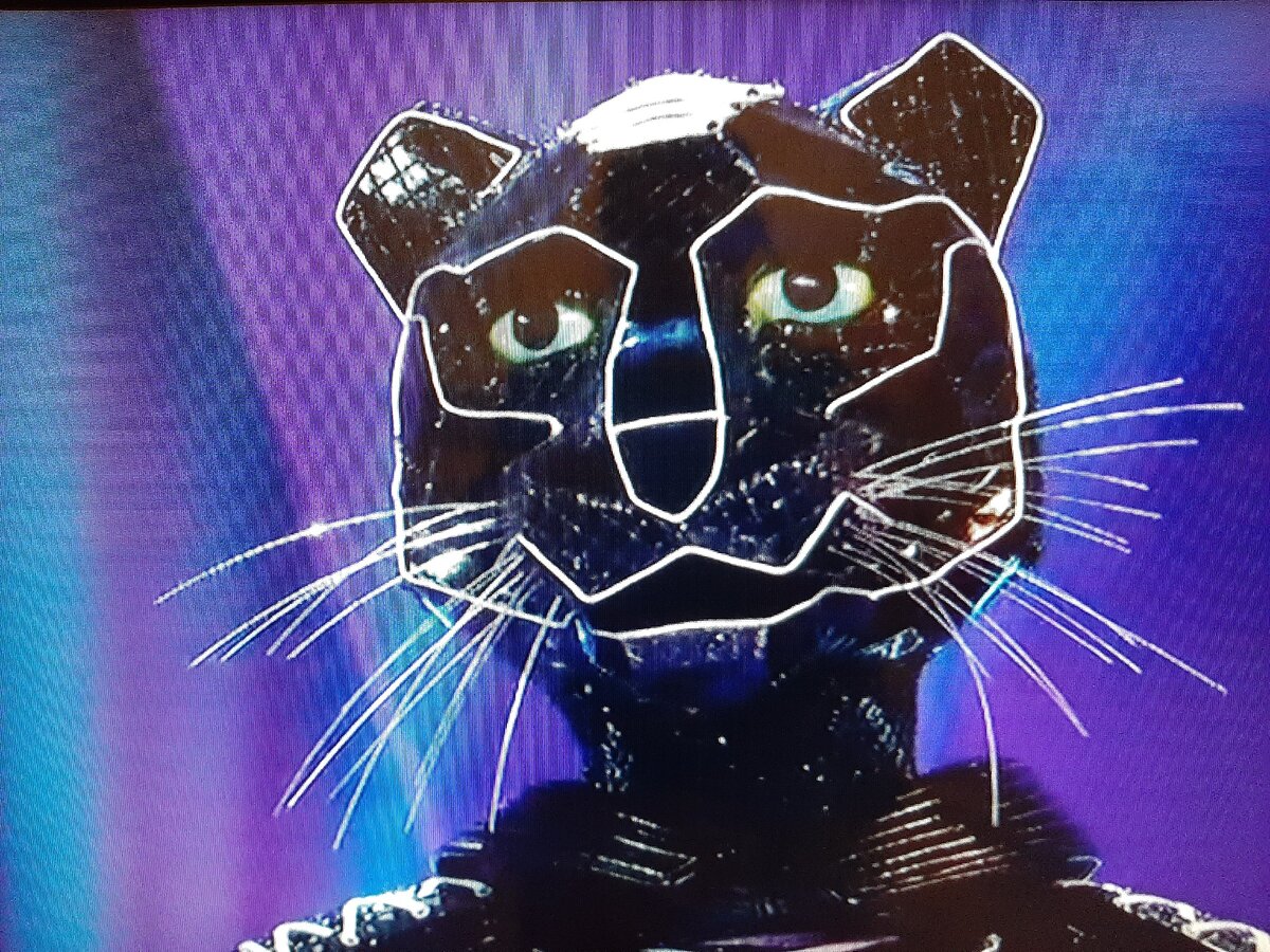 фото https://www.ntv.ru/peredacha/The_Masked