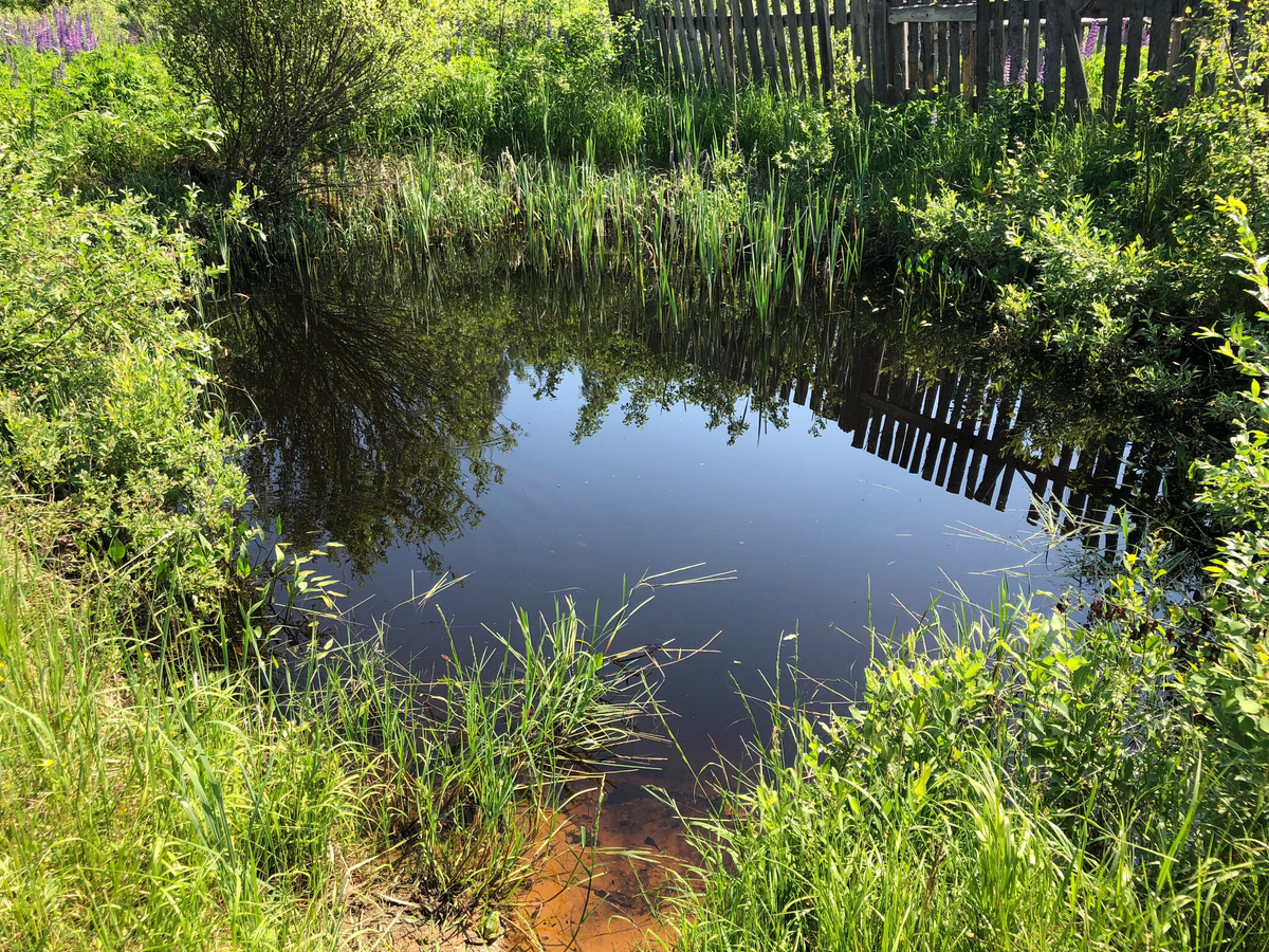 Искусственный водоем изготовление: пруд, водопад