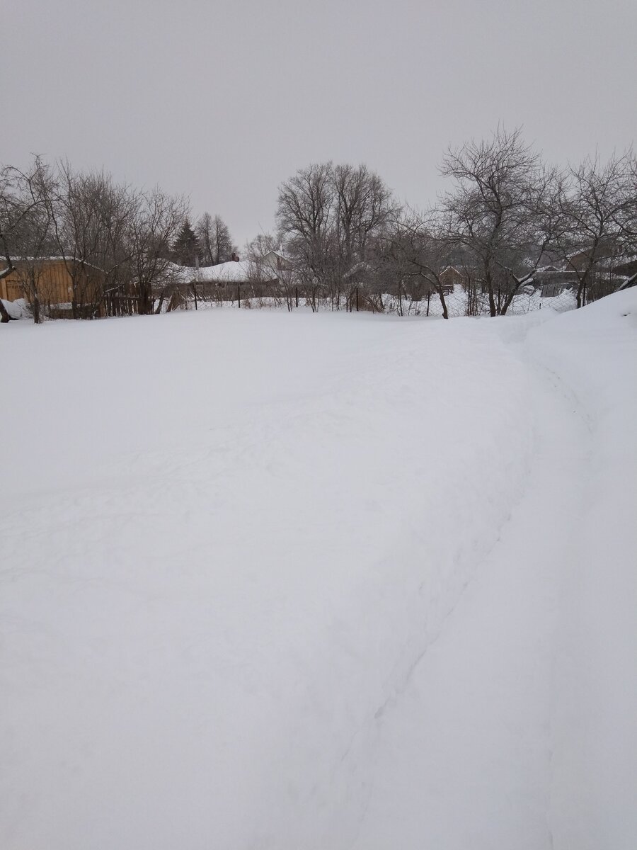 Приходится чистить тропинки в огороде, иначе не пройти к бане и мусорному ящику. 