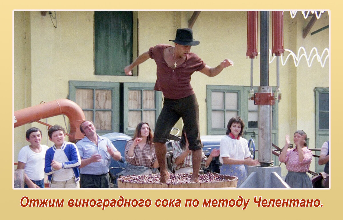 Адриано челентано укрощение. Адриано челентано давит виноград. Адриано челентано давит виноград. Адриано челентано топчет виноград. Челентано виноград видео.