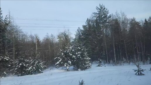 🌞Едем с Урала на Кубань. Как меняются виды из окна поезда