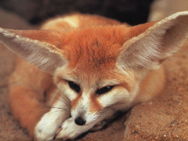 А вот так похож..