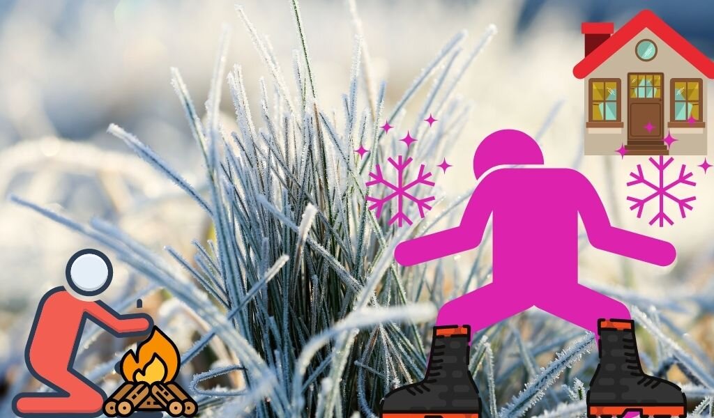 Иллюстрация и эмоции автора